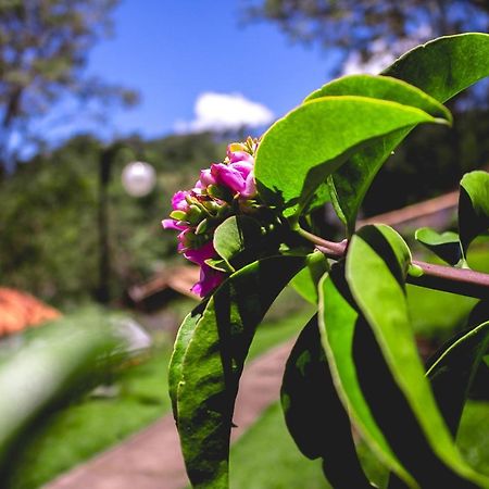 Pousada Recanto Dos Beija Flores Монти-Алегри-ду-Сул Экстерьер фото
