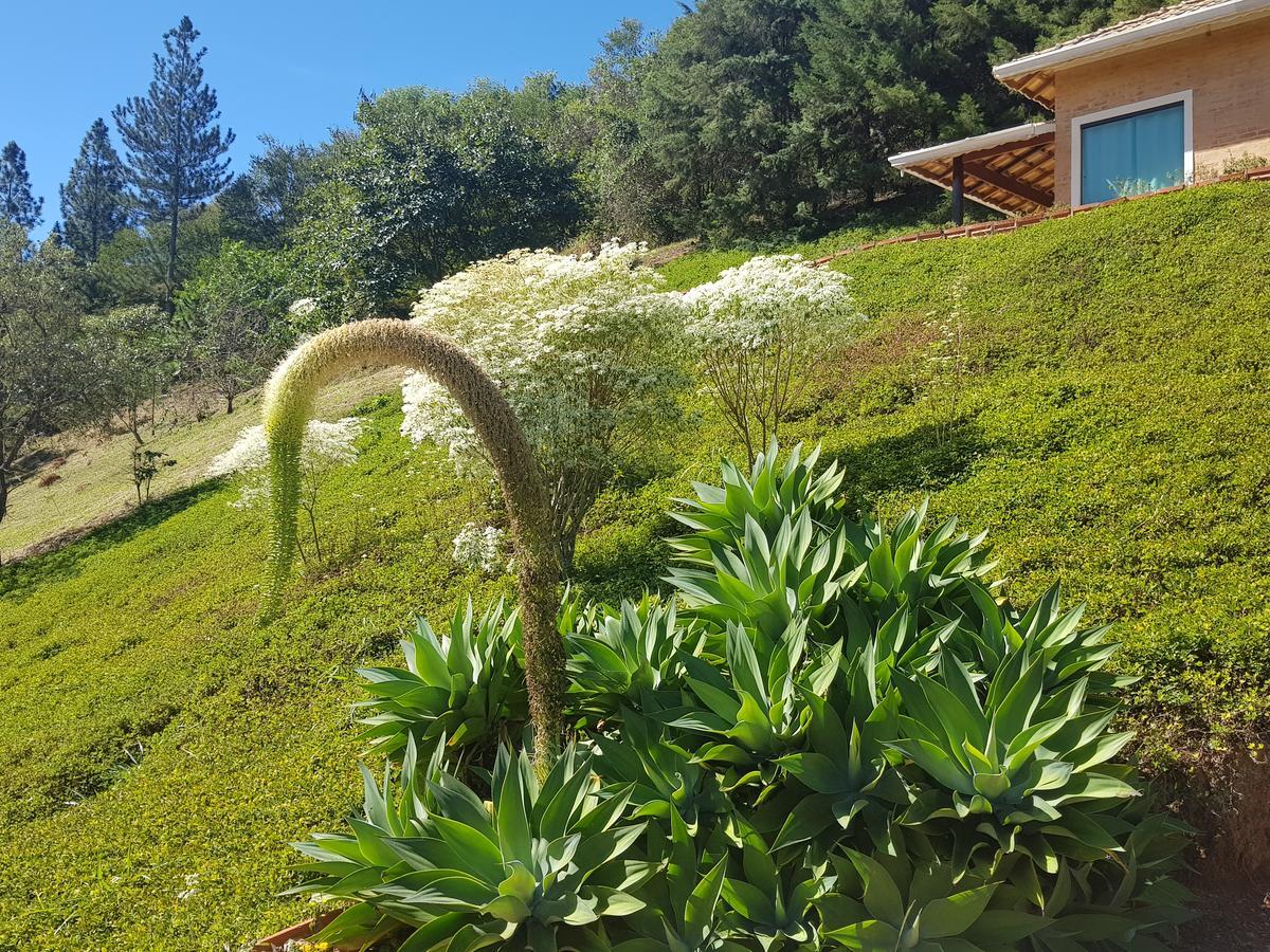 Pousada Recanto Dos Beija Flores Монти-Алегри-ду-Сул Экстерьер фото