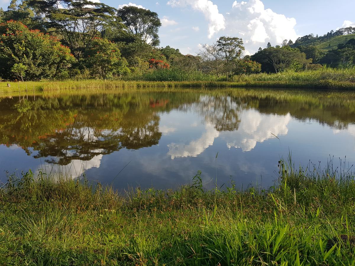 Pousada Recanto Dos Beija Flores Монти-Алегри-ду-Сул Экстерьер фото