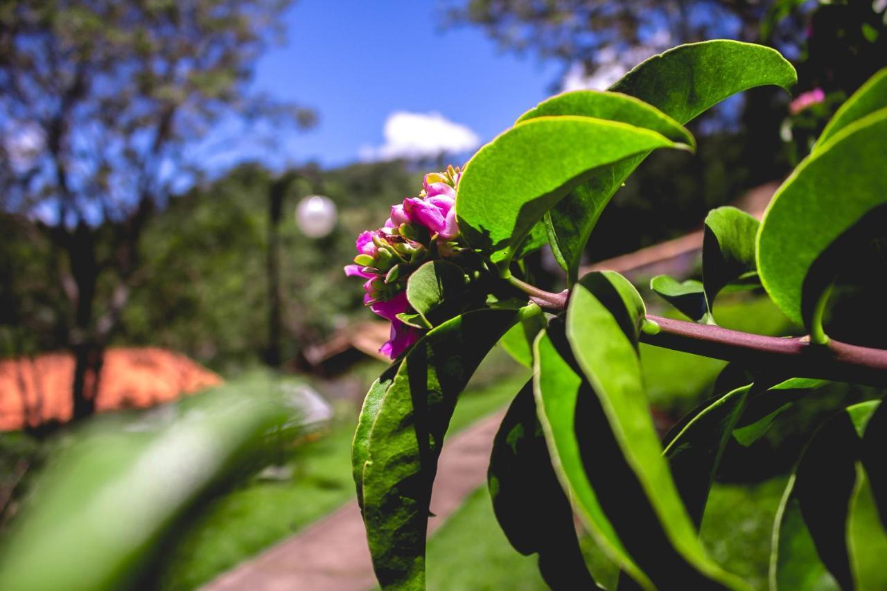 Pousada Recanto Dos Beija Flores Монти-Алегри-ду-Сул Экстерьер фото